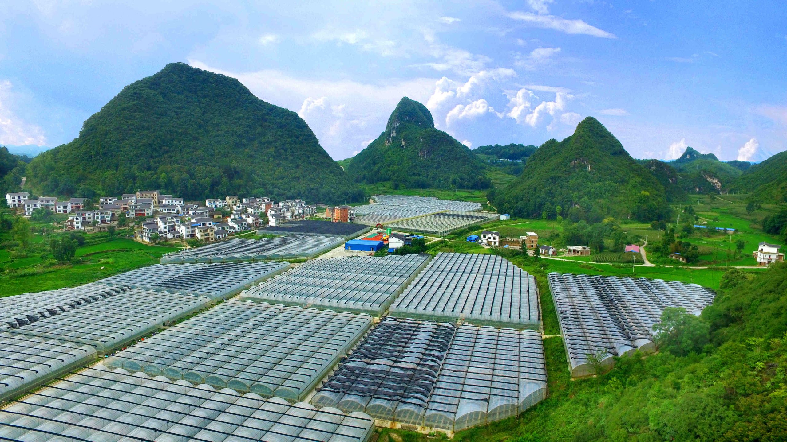 4ec2d5628535e5dde711e8468197b0efce1b9d16c452